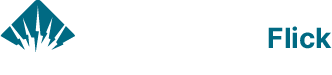 thebusinessflick.com